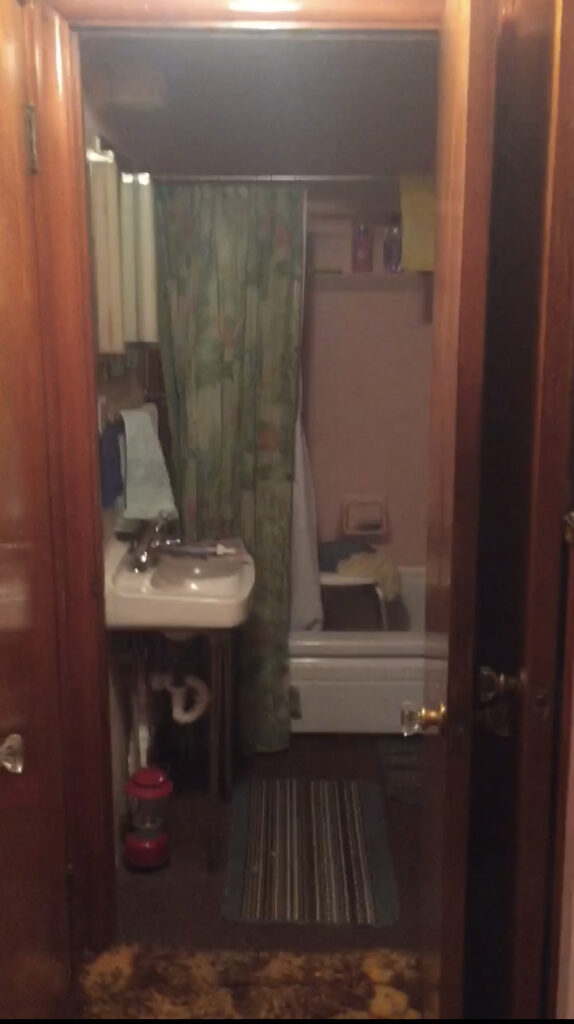 Dated 86-year-old cottage bathroom with brown carpeting, green shower curtain, and an outdated sink.